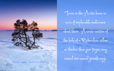 On Arctic trees