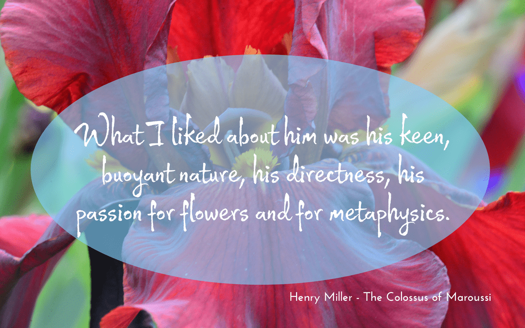 Henry Miller - Colossus of Maroussi - quotation