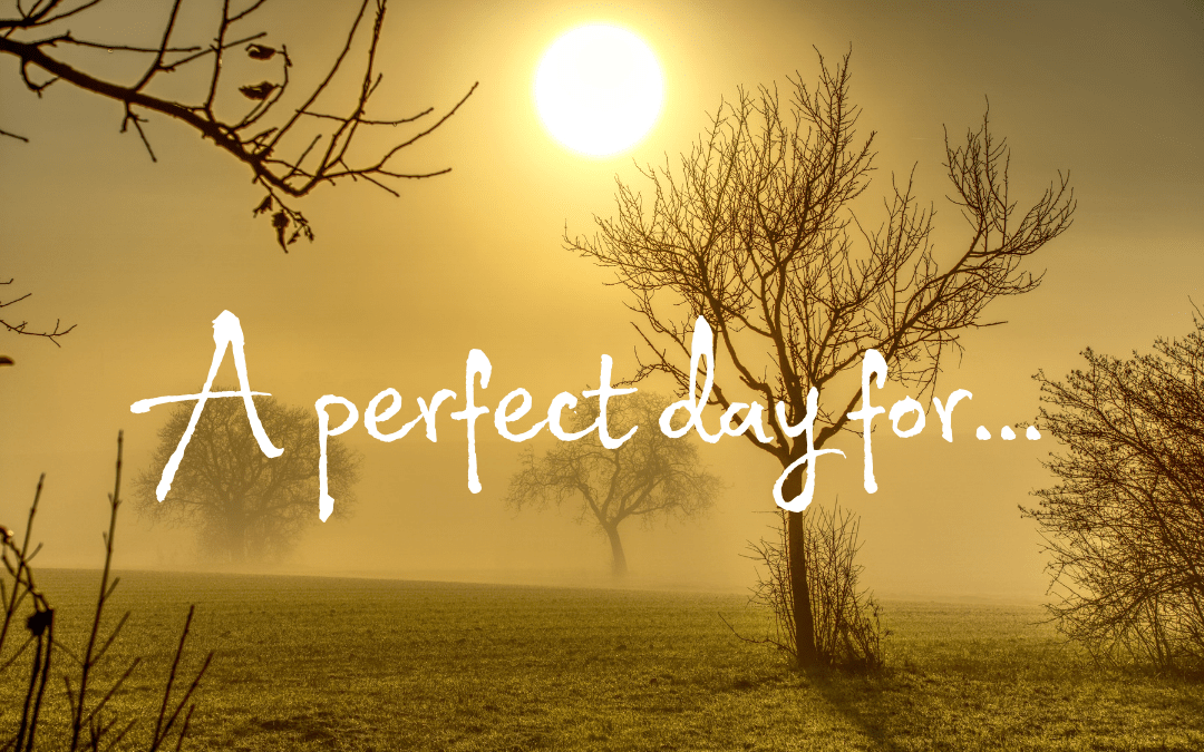 A perfect day for …