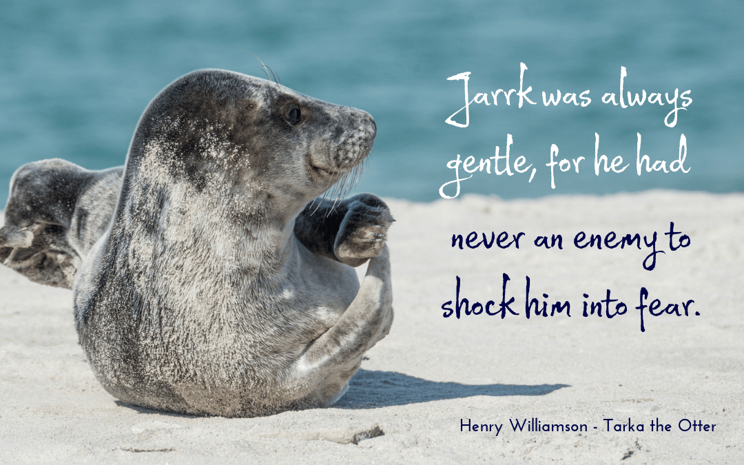Henry Williamson - Tarka the Otter - quotation