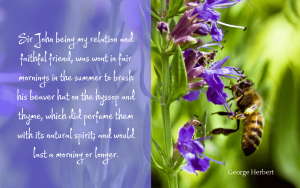 Quotation - George Herbert on Sir John Danvers