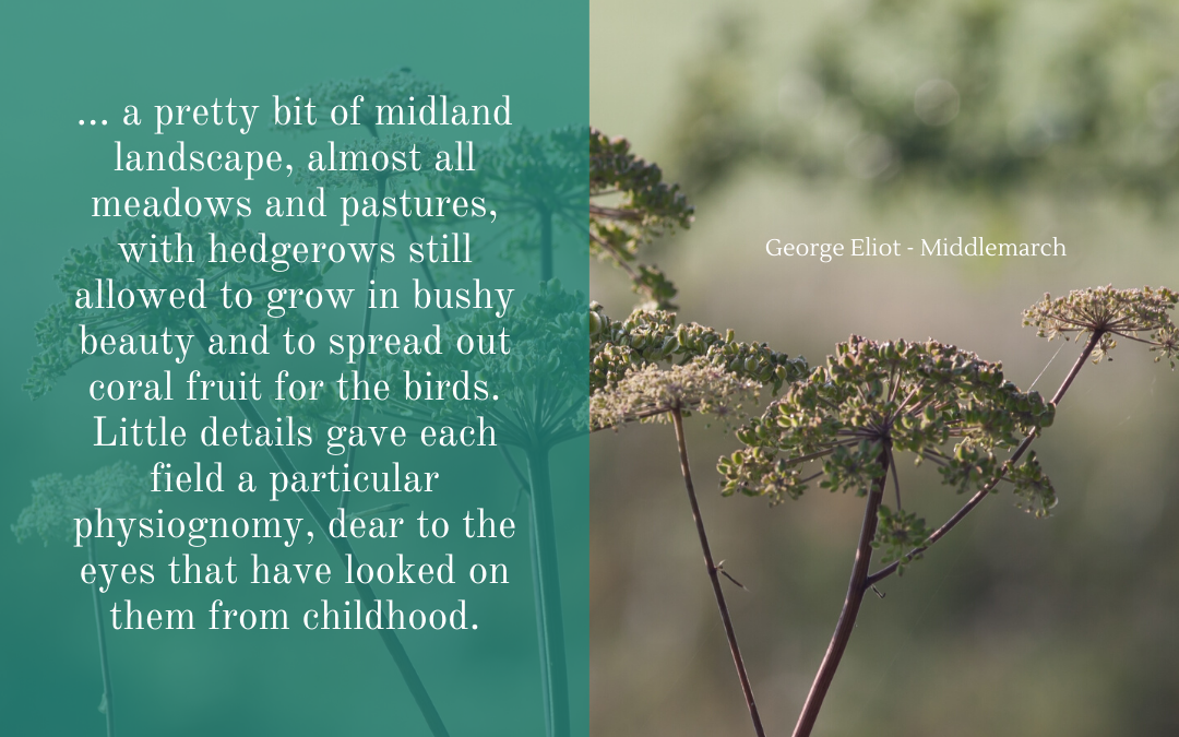 Quotation - George Eliot - Middlemarch