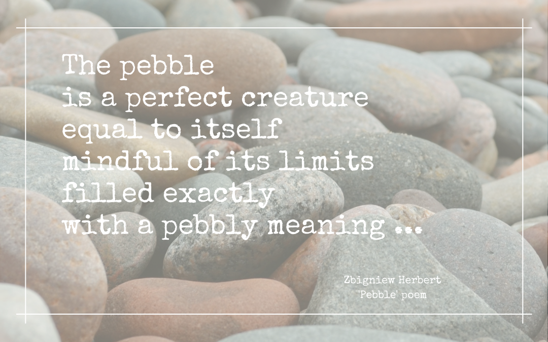 Pebble pusher (ii)