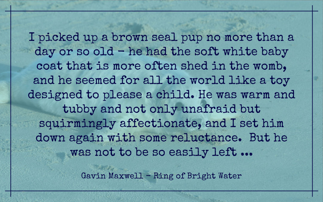 Quotation - Gavin Maxwell - Ring of Bright Water