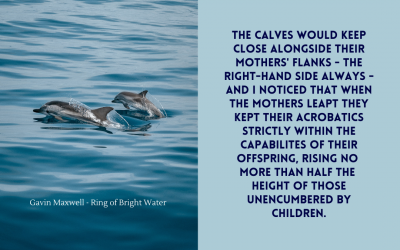 Of leaping dolphins