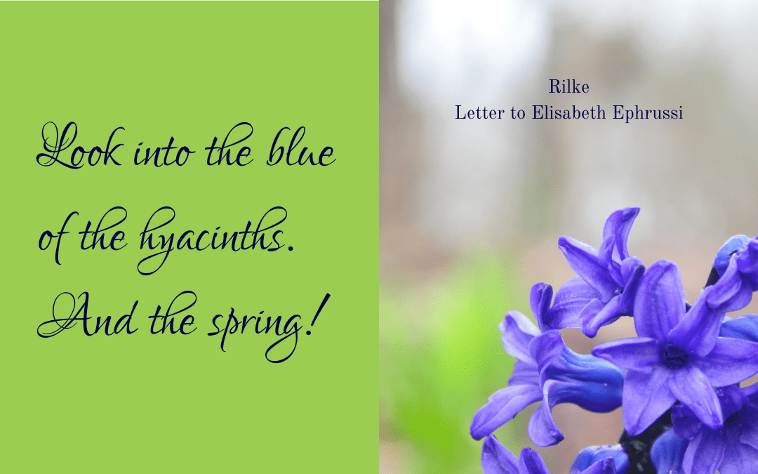 The blue of the hyacinths